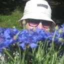 ���������� �������, ���� ������� ������, 38 ���, ������������ ��� ������, ����� � ���������, c�������� ���������