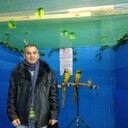 ���������� ������, ���� ������� �������, 56 ���, ������������ ��� ������, ����� � ���������, c�������� ���������, ���������