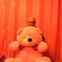 ���������� ������, ���� ������� ���, 56 ���, ������������ ��� ������, ����� � ���������, c�������� ���������, ���������