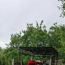 ���������� ����, ���� ������� ����, 60 ���, ������������ ��� ������, ����� � ���������