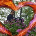 ���������� ���������, ���� ������� �������, 25 ���, ������������ ��� ������, ����� � ���������