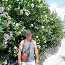 ���������� �����������, ���� ������� �������, 43 ����, ������������ ��� ������, ����� � ���������, c�������� ���������, ���������