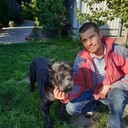 ���������� ����, ���� ������� ������, 44 ����, ������������ ��� ������, ����� � ���������, c�������� ���������