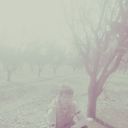  ,   928880933, 29 ,   ,   , c 