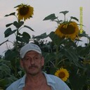  -,   , 56 ,   ,   , c 