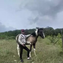 ���������� ����, ���� ������� ����, 37 ���, ������������ ��� ������, ����� � ���������, c�������� ���������