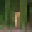 ���������� ������, ���� ������� ������, 36 ���, ������������ ��� ����� � ���������, c�������� ���������