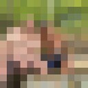  ,   , 41 ,   c 