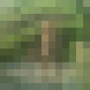  -,    , 35 ,   ,   , c , 