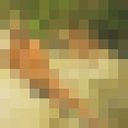  ,   , 57 ,     , c 