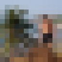 ���������� ������, ���� ������� �����, 38 ���, ������������ ��� ������, ����� � ���������, c�������� ���������