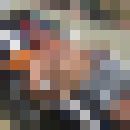  ,   , 47 ,   ,   , c , 
