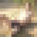  ,   Oleg, 44 ,   ,   , c 