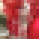 ���������� �����������, ���� ������� �������, 46 ���, ������������ ��� ������, ����� � ���������