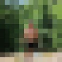 ���������� �����, ���� ������� �������, 42 ����, ������������ ��� ������, ����� � ���������, c�������� ���������