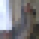  ,   , 62 ,   ,   , c 