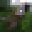   ,   , 48 ,     , c 
