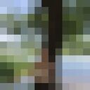  ,   , 70 ,   ,   , c 