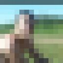 ���������� �����-���������, ���� ������� �����, 37 ���, ������������ ��� ������, ����� � ���������