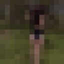 ���������� �����-�������, ���� ������� �����, 21 ���, ������������ ��� ������