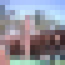   ,   , 66 ,  