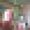  ,   Ҹ, 41 ,   ,   , c , 
