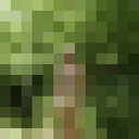  ,   , 63 ,   