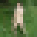  ,   Lexa, 51 ,     , c , 