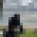 ���������� ������, ���� ������� �����, 20 ���, ������������ ��� ����� � ���������, c�������� ���������