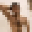  ,   , 27 ,   ,   , 