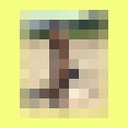   ,   , 24 ,  