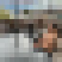  Baguim do Monte,   Junior, 41 ,   ,   , c , 