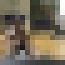 ���������� �����������, ���� ������� ����, 35 ���, ������������ ��� ������, ����� � ���������