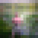  ,   , 92 ,   c 
