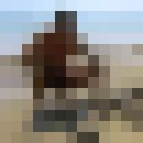  ,   Serj, 47 ,     , c 