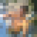  ,   Nail, 36 ,   