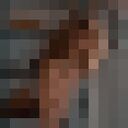 ���������� �����-���������, ���� ������� ����, 23 ����, ������������ ��� ������, ����� � ���������