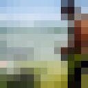 ���������� ������, ���� ������� Patron, 42 ����, ������������ ��� ������, ����� � ���������