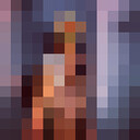  ,   , 2 ,   ,   