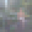 ���������� �������, ���� ������� �����, 44 ����, ������������ ��� ������, ����� � ���������, c�������� ���������