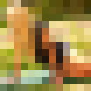  ,   , 31 ,   