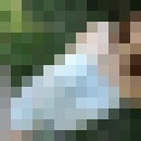 ���������� ������, ���� ������� ��������, 25 ���, ������������ 