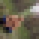  ,   , 44 ,     , c , 