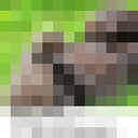  ,   , 48 ,   ,   , c 