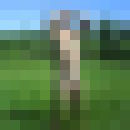  ,   , 55 ,   