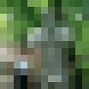  ,   Vano, 42 ,   ,   , c 