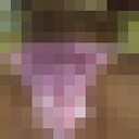  ,   , 49 ,   ,   , c , 