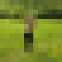 ���������� ������, ���� ������� ������, 31 ���, ������������ ��� ����� � ���������, c�������� ���������