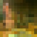  -,   , 52 ,   ,   , c 