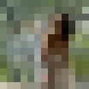 ���������� ������, ���� ������� �������, 36 ���, ������������ ��� ����� � ���������